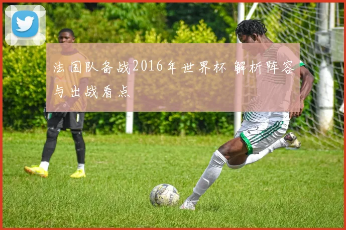 法国队备战2016年世界杯 解析阵容与出战看点