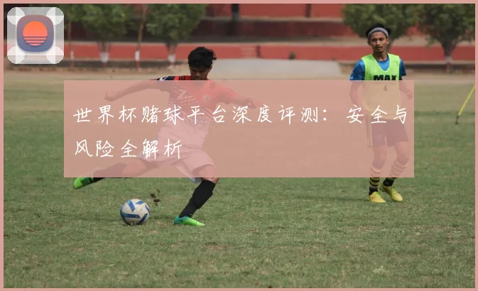 世界杯赌球平台深度评测:安全与风险全解析