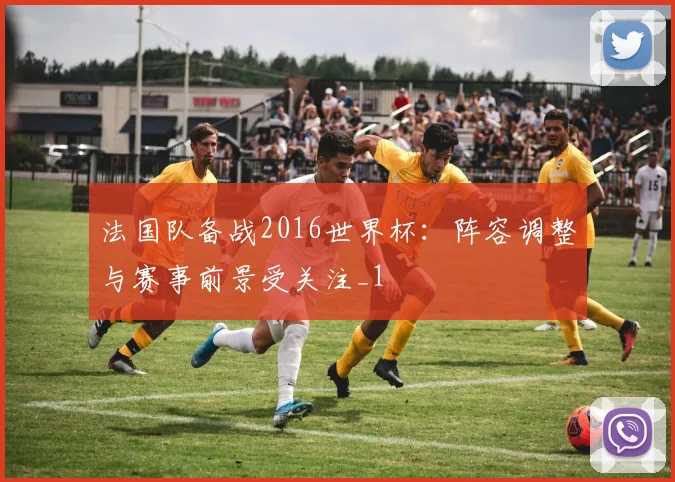 法国队备战2016世界杯:阵容调整与赛事前景受关注_1