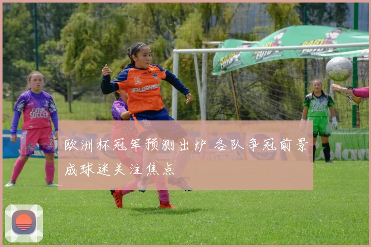欧洲杯冠军预测出炉 各队争冠前景成球迷关注焦点