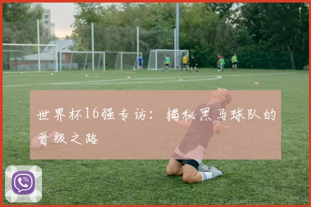 世界杯16强专访:揭秘黑马球队的晋级之路
